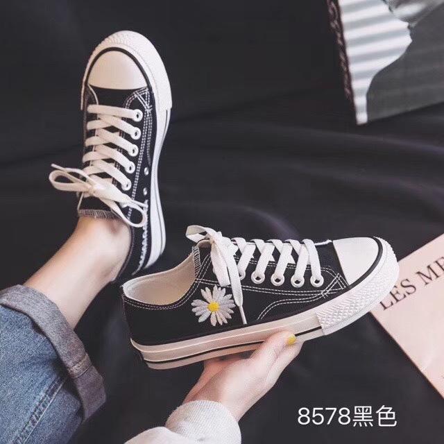 晓莉