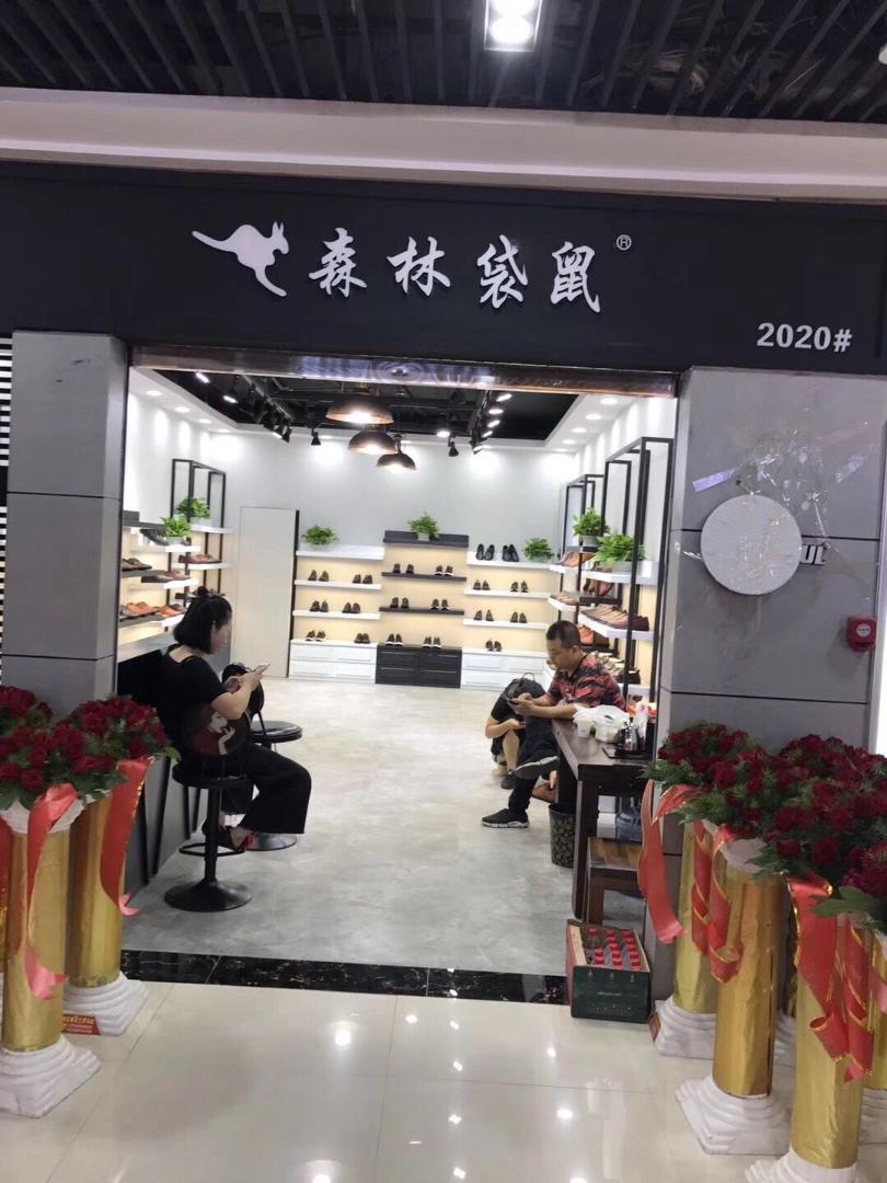 森林袋鼠