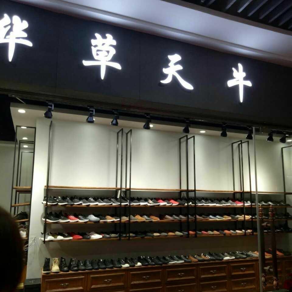 华草天牛