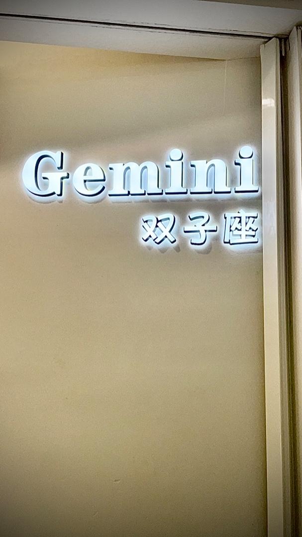 GeminiLOGO