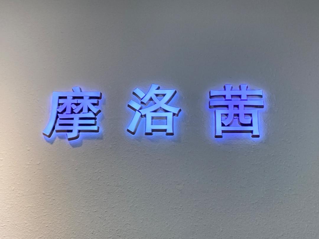 MoLLoshe 摩洛茜LOGO