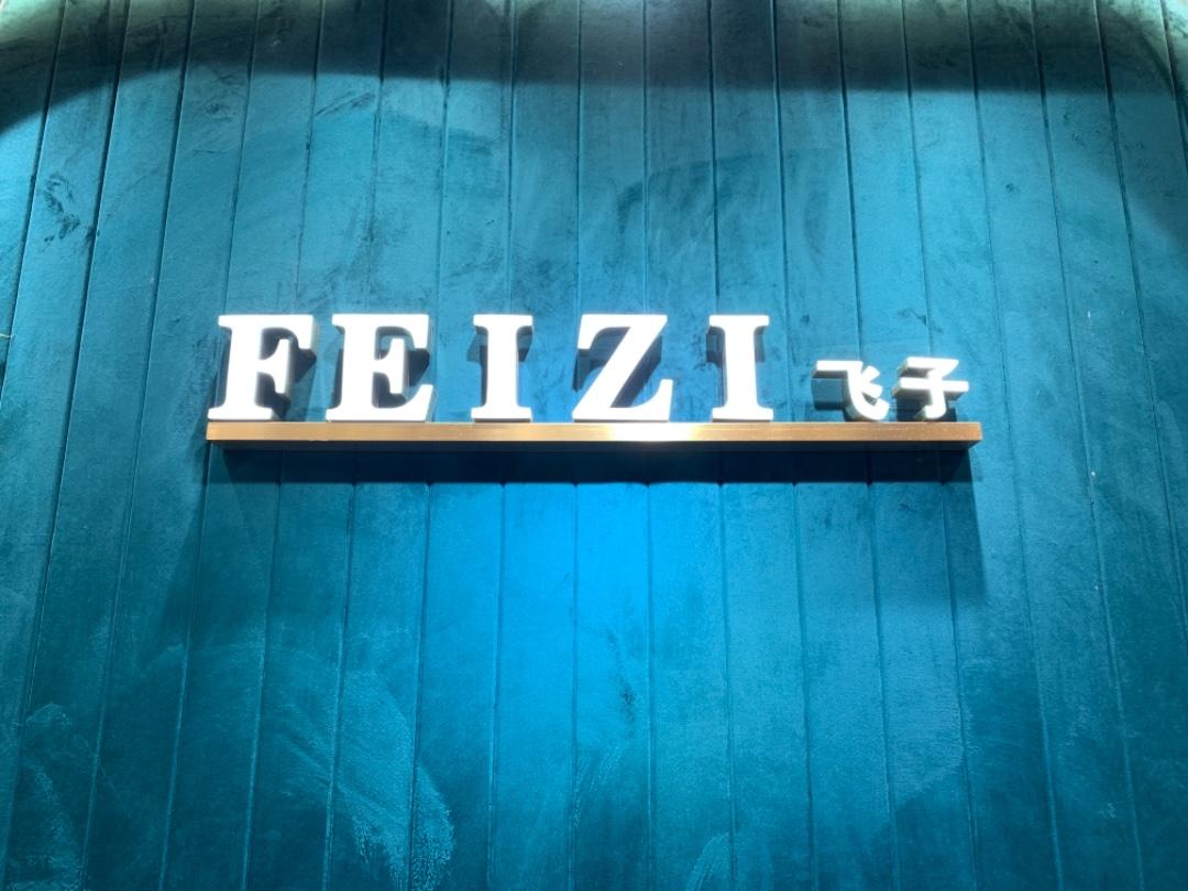 FEIZI 飞子LOGO