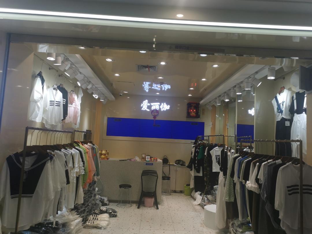 爱丽伽