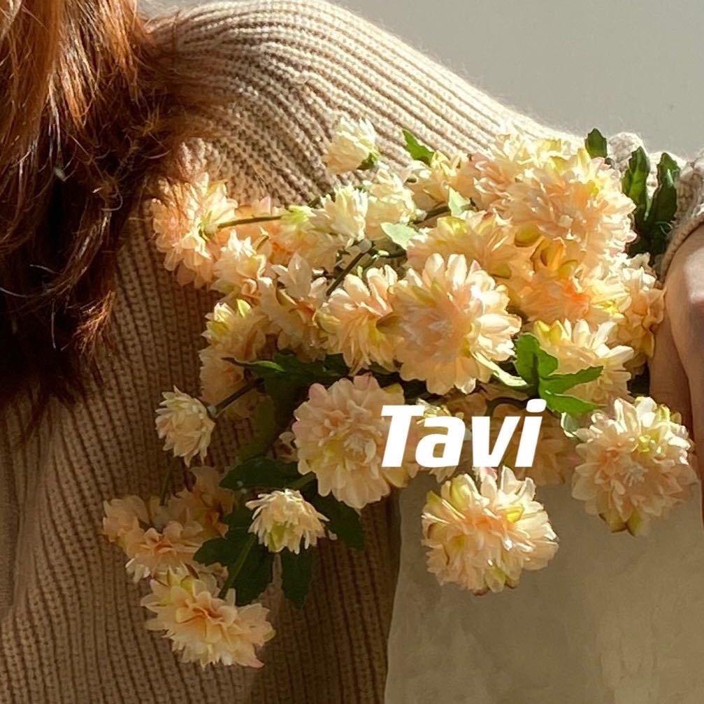 TaviLOGO