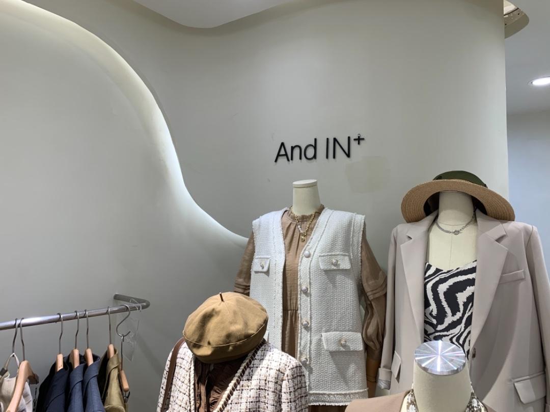 AND IN+
