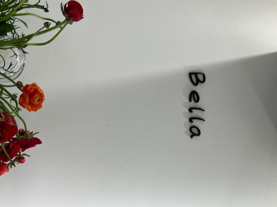 Bella(2F)LOGO