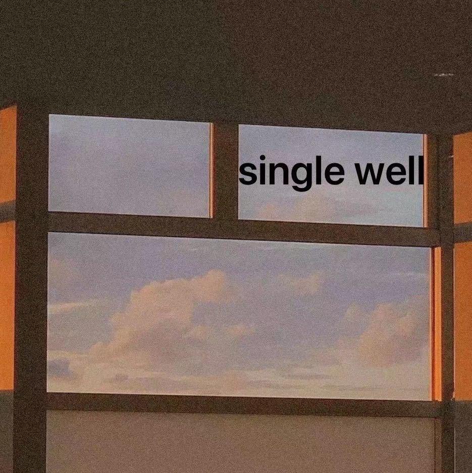 单井 Single WellLOGO
